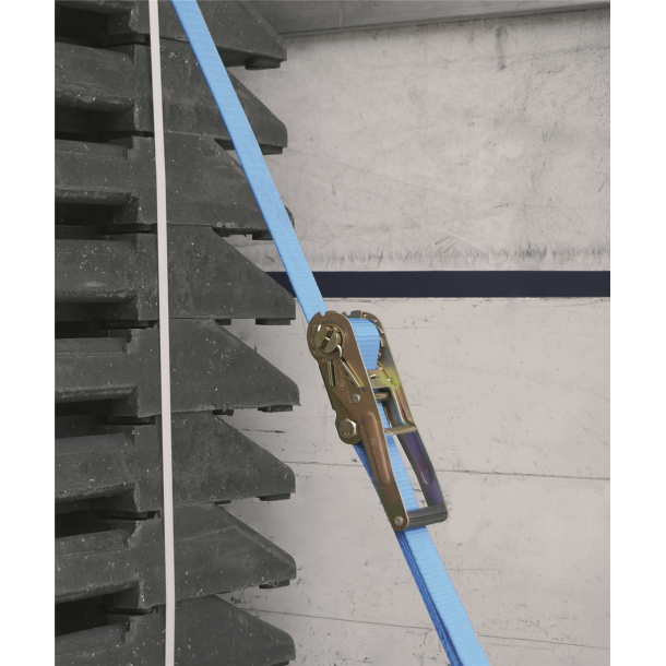 Lashing strap, 1-part, with ratchet | Strap width: 25,00 mm | Tensile force/daN 250 / 500 | Length 6.00 m